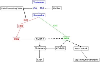Imbalances in Kynurenines as Potential Biomarkers in the Diagnosis and Treatment of Psychiatric Disorders
